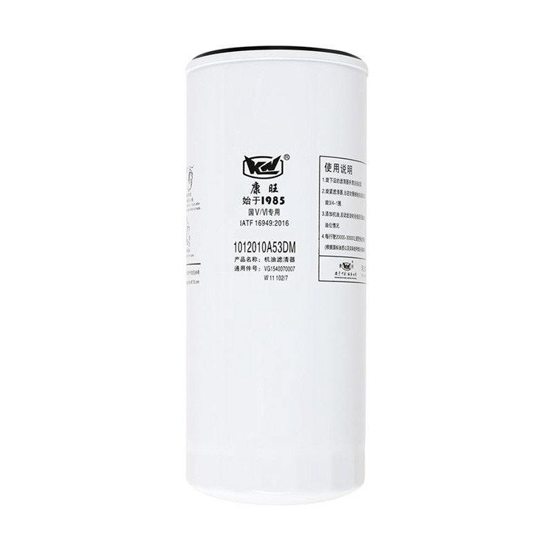 1012010A53DM Origin Semi Truck Fuel Filter Cartridge For Heavy-Duty Vehicles Капсулы для фильтра топлива для тяжелых грузовых автомобилей